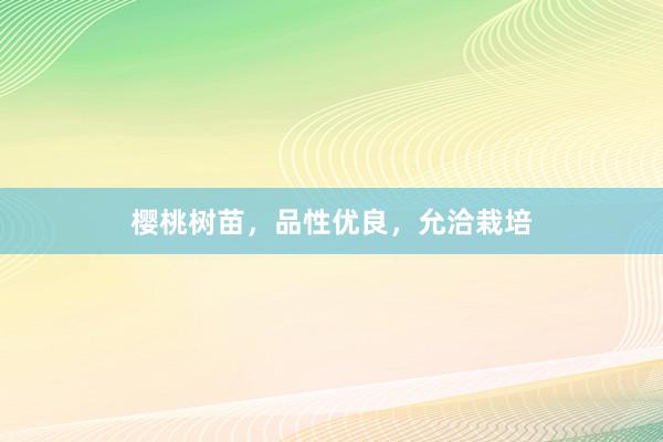 樱桃树苗，品性优良，允洽栽培