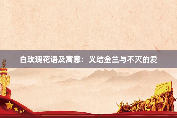 白玫瑰花语及寓意：义结金兰与不灭的爱