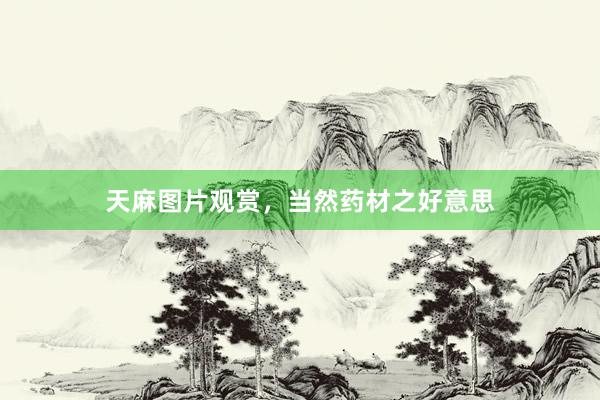 天麻图片观赏，当然药材之好意思