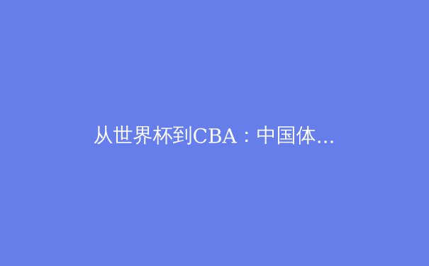 从世界杯到CBA：中国体育产业的数字化转型与球迷体验革新